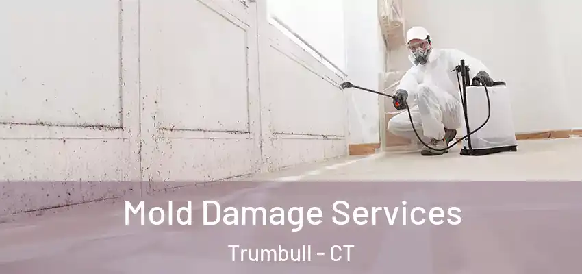 Mold Damage Services Trumbull - CT
