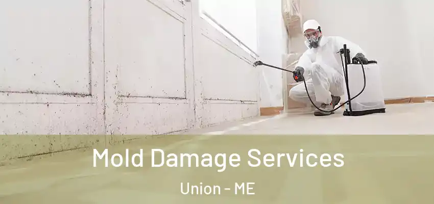 Mold Damage Services Union - ME