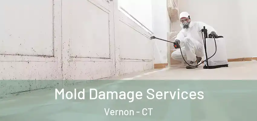 Mold Damage Services Vernon - CT