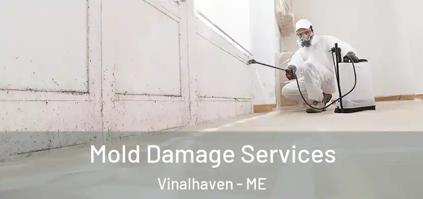 Mold Damage Services Vinalhaven - ME