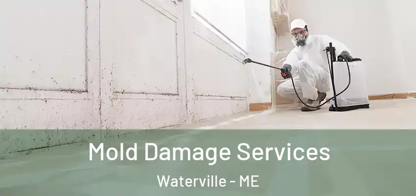 Mold Damage Services Waterville - ME