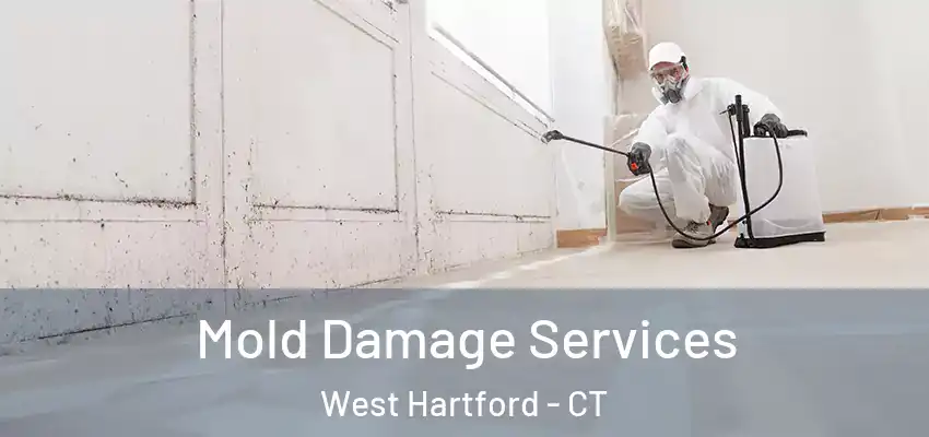 Mold Damage Services West Hartford - CT