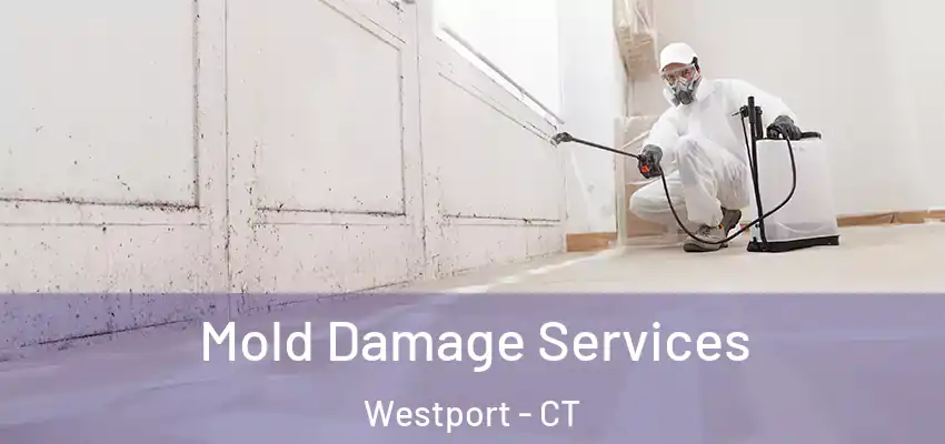 Mold Damage Services Westport - CT
