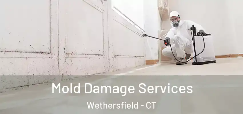 Mold Damage Services Wethersfield - CT