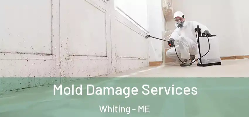 Mold Damage Services Whiting - ME