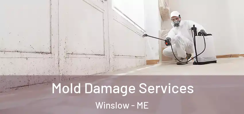 Mold Damage Services Winslow - ME