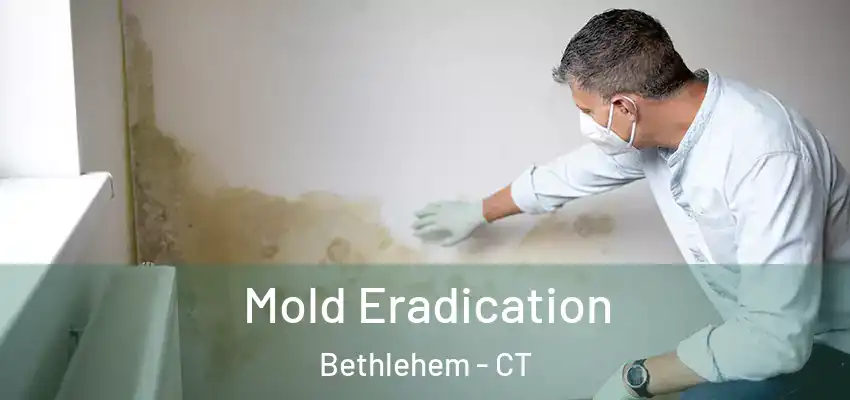 Mold Eradication Bethlehem - CT