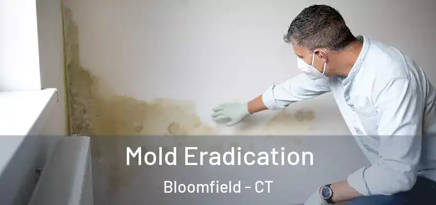 Mold Eradication Bloomfield - CT