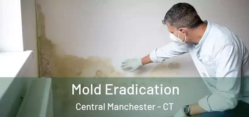  Mold Eradication Central Manchester - CT