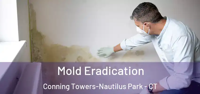  Mold Eradication Conning Towers-Nautilus Park - CT