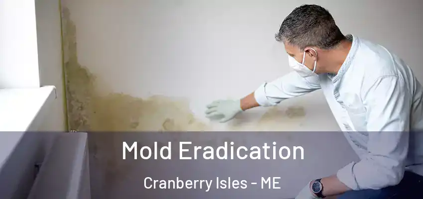 Mold Eradication Cranberry Isles - ME