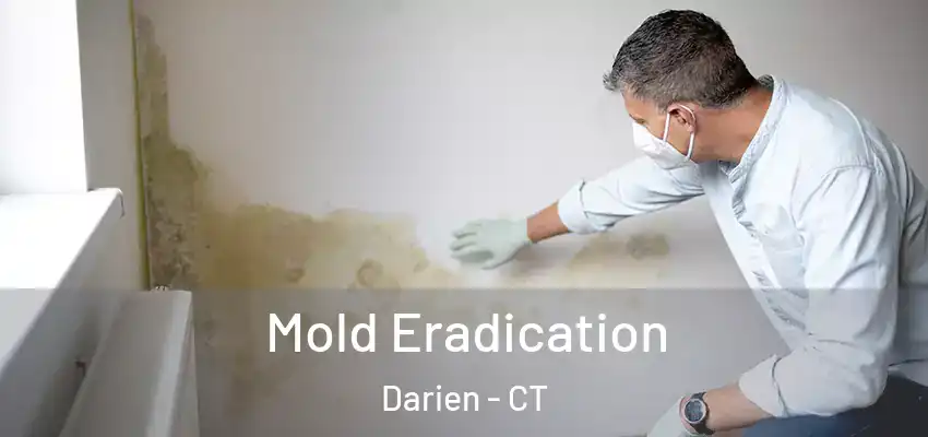Mold Eradication Darien - CT