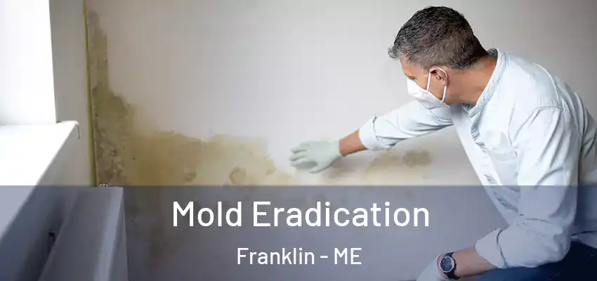Mold Eradication Franklin - ME