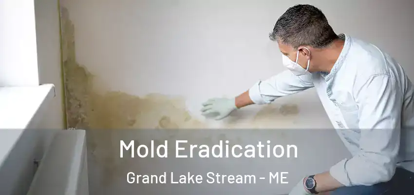  Mold Eradication Grand Lake Stream - ME