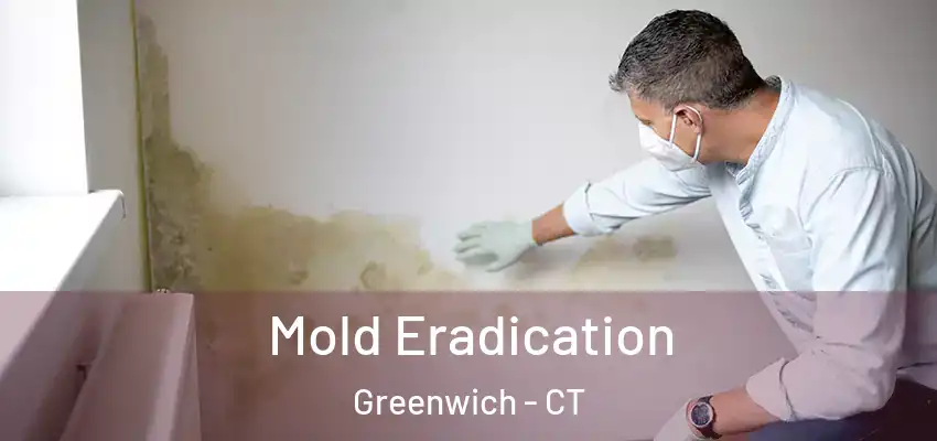 Mold Eradication Greenwich - CT