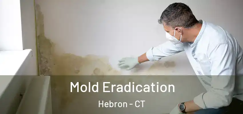 Mold Eradication Hebron - CT