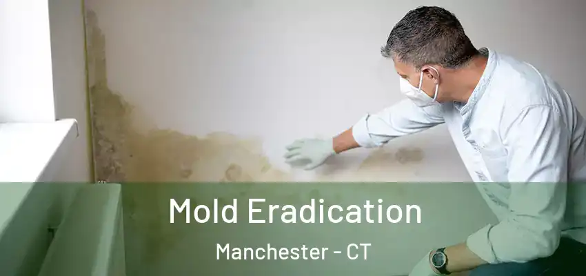Mold Eradication Manchester - CT