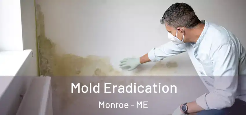 Mold Eradication Monroe - ME