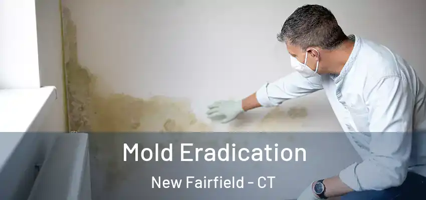 Mold Eradication New Fairfield - CT