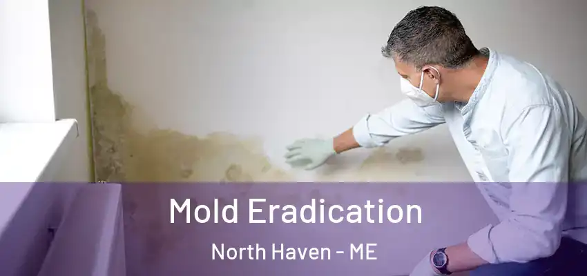 Mold Eradication North Haven - ME