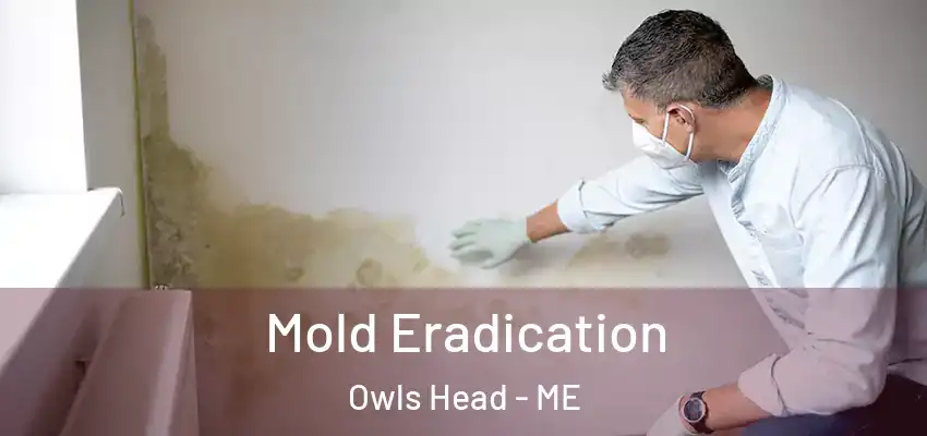 Mold Eradication Owls Head - ME