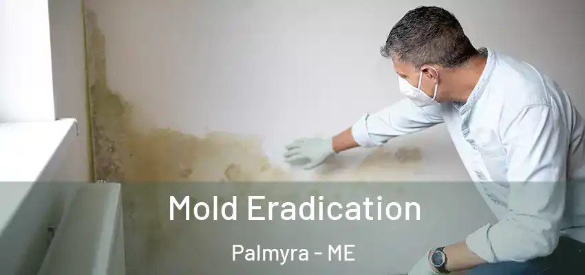 Mold Eradication Palmyra - ME