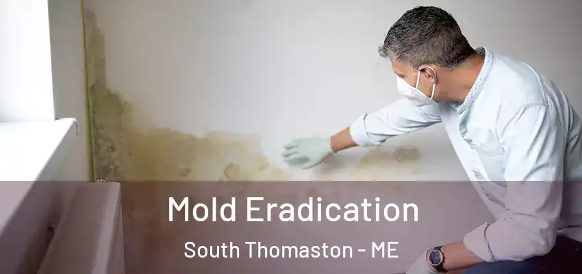 Mold Eradication South Thomaston - ME
