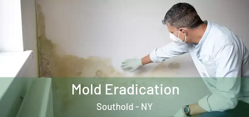 Mold Eradication Southold - NY