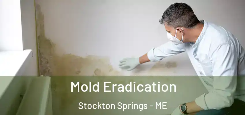 Mold Eradication Stockton Springs - ME