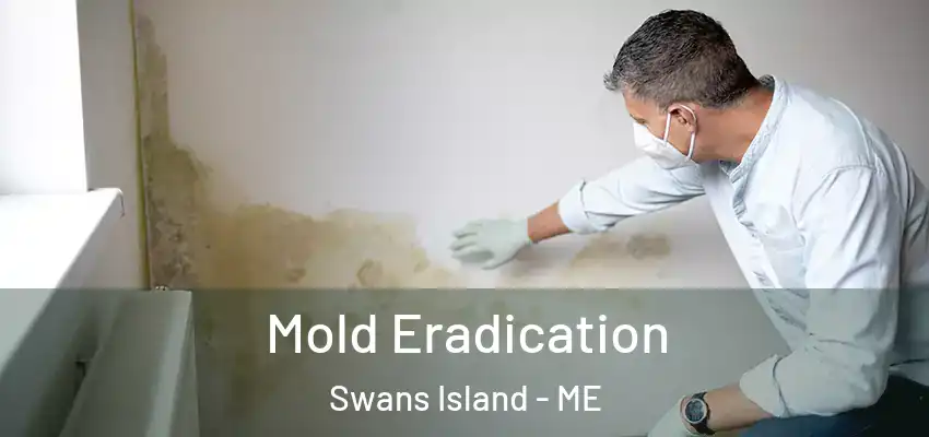  Mold Eradication Swans Island - ME