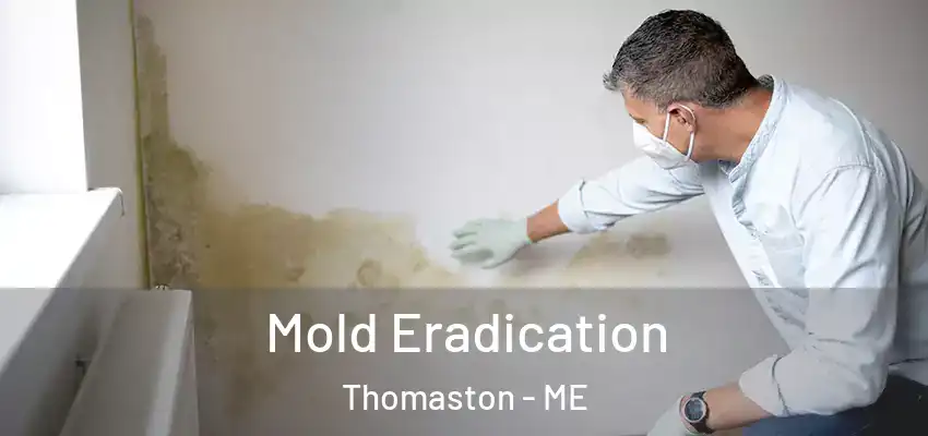 Mold Eradication Thomaston - ME