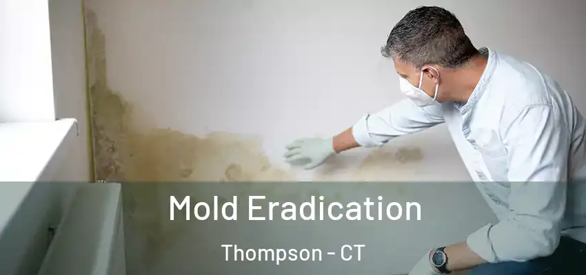Mold Eradication Thompson - CT