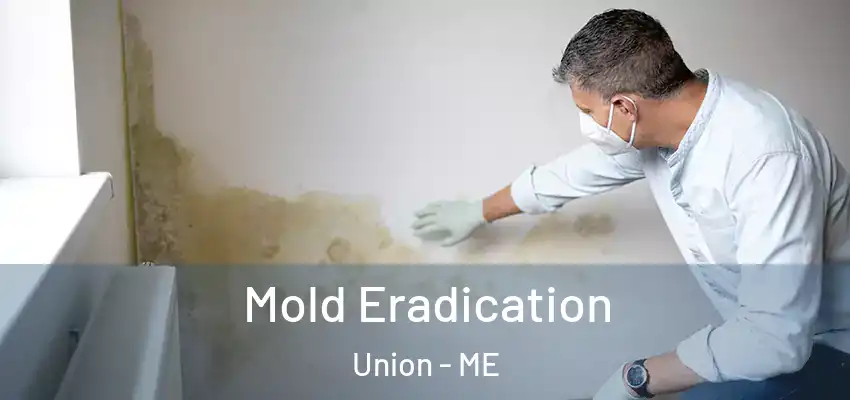 Mold Eradication Union - ME