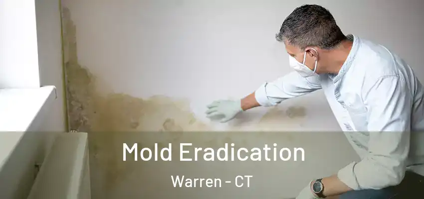 Mold Eradication Warren - CT