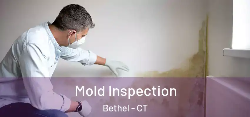 Mold Inspection Bethel - CT