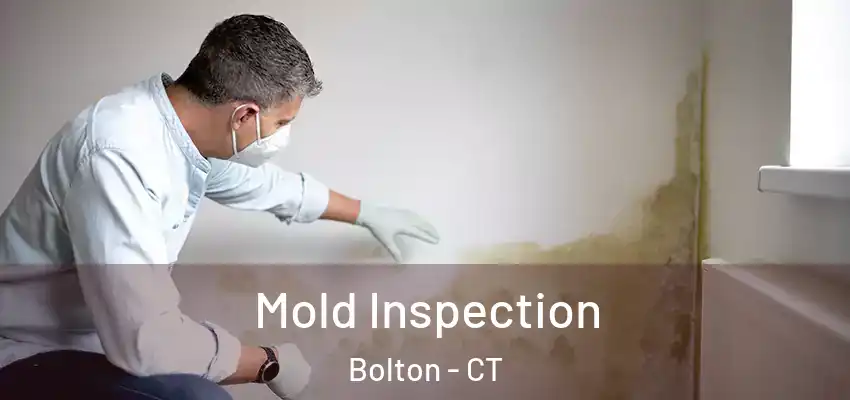 Mold Inspection Bolton - CT