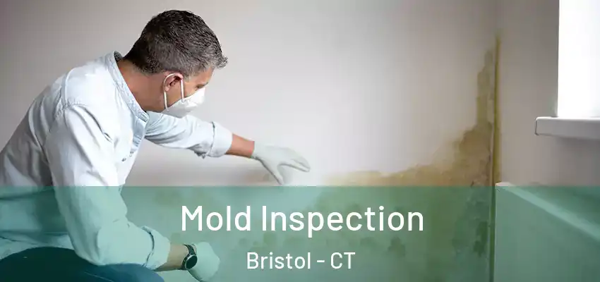  Mold Inspection Bristol - CT