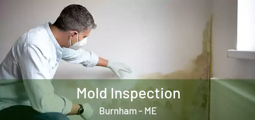  Mold Inspection Burnham - ME