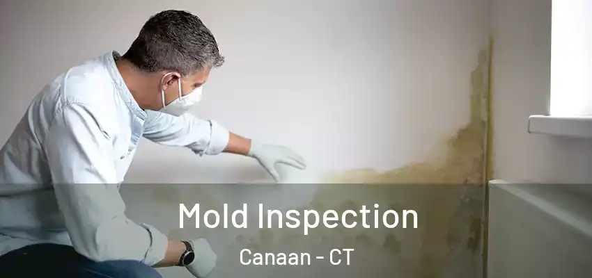  Mold Inspection Canaan - CT