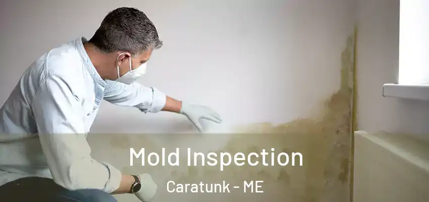 Mold Inspection Caratunk - ME