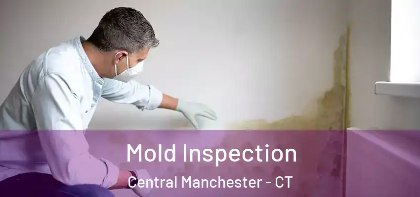 Mold Inspection Central Manchester - CT