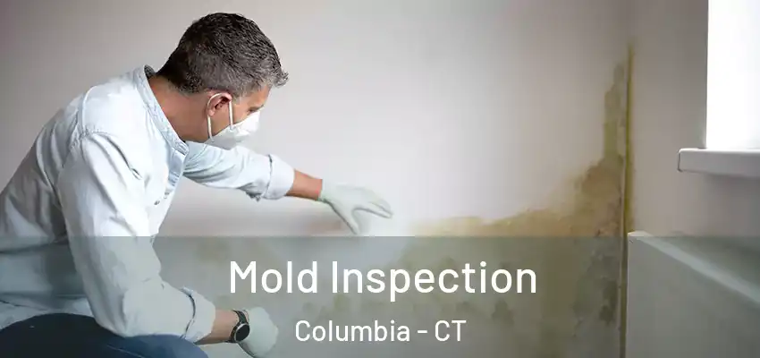 Mold Inspection Columbia - CT