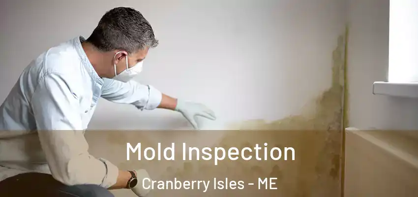  Mold Inspection Cranberry Isles - ME