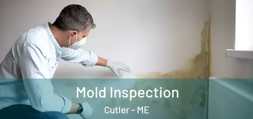  Mold Inspection Cutler - ME