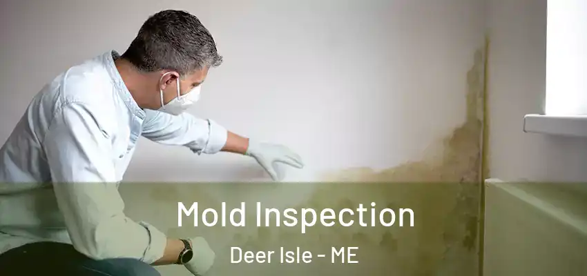 Mold Inspection Deer Isle - ME