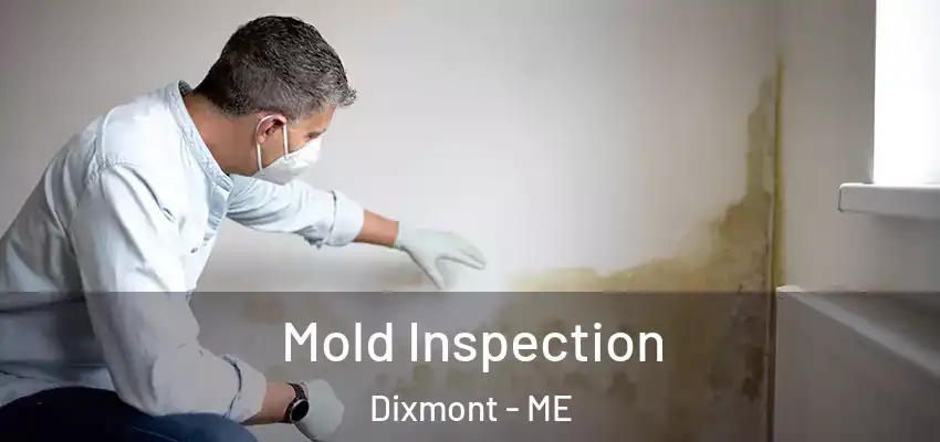  Mold Inspection Dixmont - ME