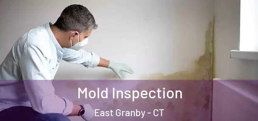  Mold Inspection East Granby - CT