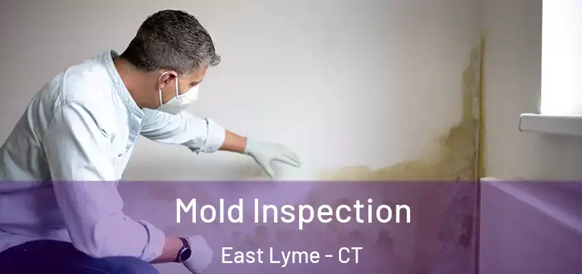 Mold Inspection East Lyme - CT