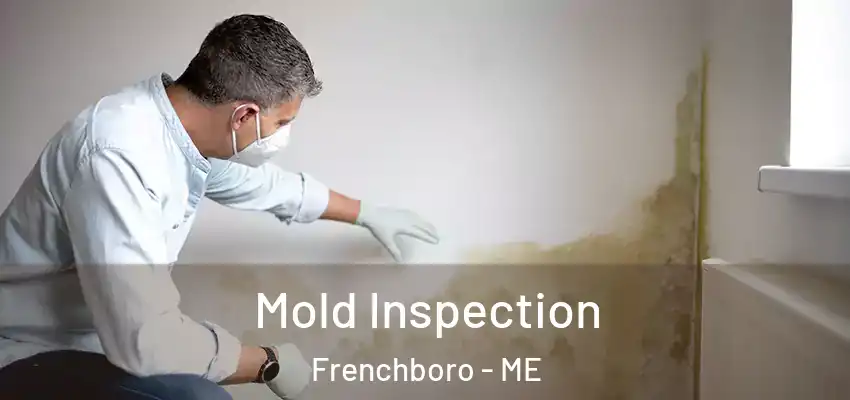  Mold Inspection Frenchboro - ME