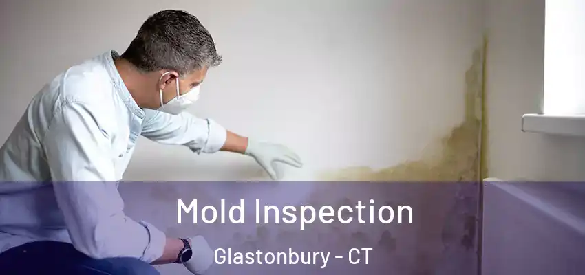 Mold Inspection Glastonbury - CT